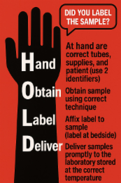 HAND OBTAIN LABEL DELIVER DID YOU LABEL THE SAMPLE? AT HAND ARE CORRECT TUBES, SUPPLIES, AND PATIENT (USE 2 IDENTIFIERS) OBTAIN SAMPLE USING CORRECT TECHNIQUE AFFIX LABEL TO SAMPLE (LABEL AT BEDSIDE) DELIVER SAMPLES PROMPTLY TO THE LABORATORY STORED AT THE CORRECT TEMPERATURE logo