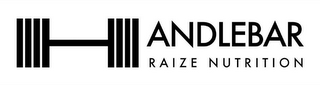 HANDLEBAR RAIZE NUTRITION logo