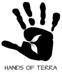 HANDS OF TERRA logo