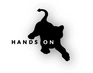 HANDS ON logo