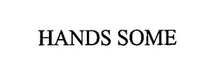HANDS SOME logo