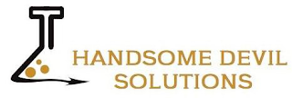 HANDSOME DEVIL SOLUTIONS logo