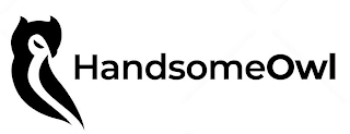 HANDSOMEOWL logo