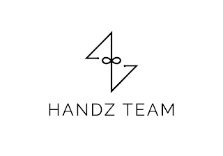 HANDZ TEAM Z logo