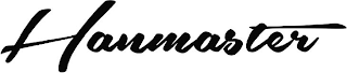 HANMASTER logo