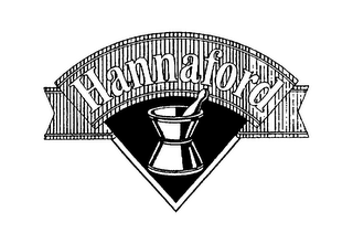 HANNAFORD logo