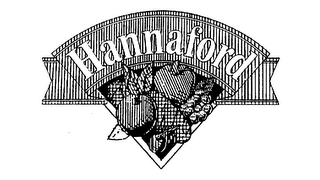 HANNAFORD logo