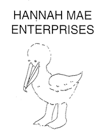 HANNAH MAE ENTERPRISES logo