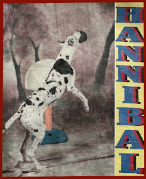 HANNIBAL logo