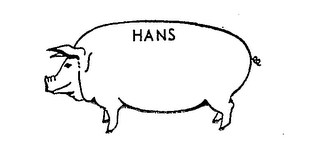 HANS logo