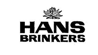HANS BRINKERS logo