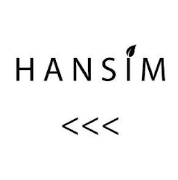 HANSIM logo