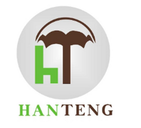 HANTENG logo