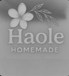 HAOLE HOMEMADE logo