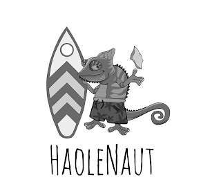 HAOLENAUT logo