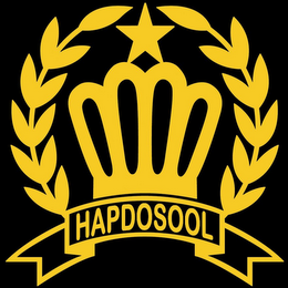 HAP DO SOOL logo