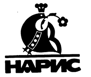 HAPNC logo