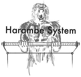 HARAMBE SYSTEM logo