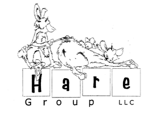HARE GROUP LLC logo