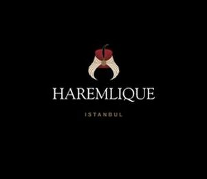 HAREMLIQUE ISTANBUL logo