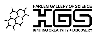HARLEM GALLERY OF SCIENCE HGS IGNITING CREATIVITY + DISCOVERY logo