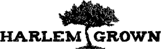 HARLEM GROWN logo