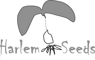 HARLEM SEEDS logo