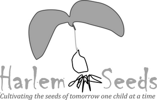 HARLEM SEEDS CULTIVATING THE SEEDS OF TOMORROW ONE CHILD AT A TIME logo