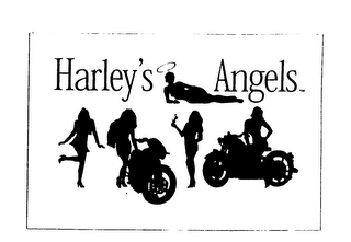 HARLEY'S ANGELS logo