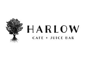 HARLOW CAFE + JUICE BAR logo