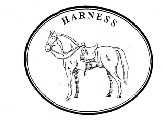 HARNESS logo