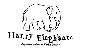 HARRY ELEPHANTE ORGANICALLY GROWN HERBAL PILLOW logo