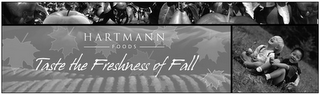 HARTMANN FOODS TASTE THE FRESHNESS OF FALL logo