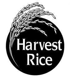 HARVEST RICE