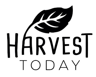 HARVEST TODAY logo