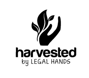 HARVESTED BY LEGAL HANDS logo