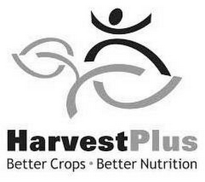 HARVESTPLUS BETTER CROPS · BETTER NUTRITION logo