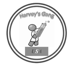 HARVEY'S GANG USA logo
