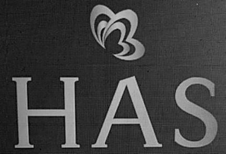 HAS logo