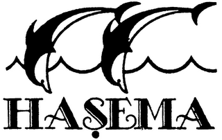 HASEMA logo