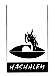 HASHALEM logo