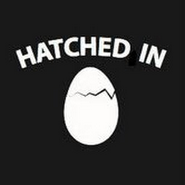 HATCHED IN logo
