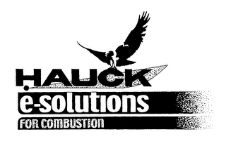 HAUCK E-SOLUTIONS FOR COMBUSTION logo