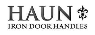 HAUN IRON DOOR HANDLES logo