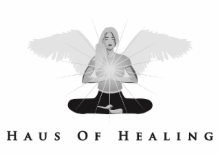 HAUS OF HEALING logo
