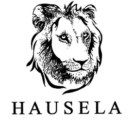 HAUSELA logo