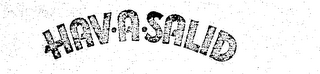 HAV-A-SALID logo