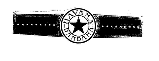 HAVANA BANDANA logo