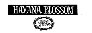 HAVANA BLOSSOM FRESHER & TASTIER logo
