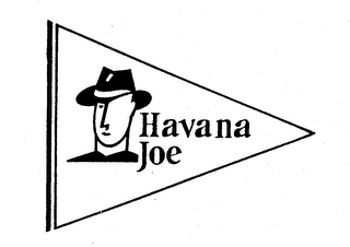 HAVANA JOE logo